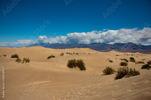 The Mequite Flats at Death Valley National Park  USA.