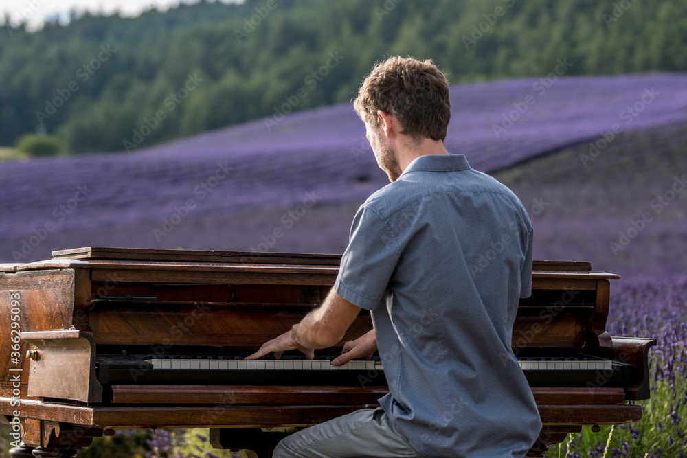 Fototapeta premium le pianiste