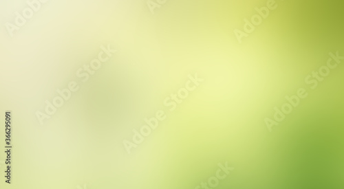 Green leaf background Yellow, blurry leaves Bokeh circles from light shining through As a background and Beautiful computer screen image