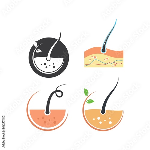 hair root icon vector illustration design