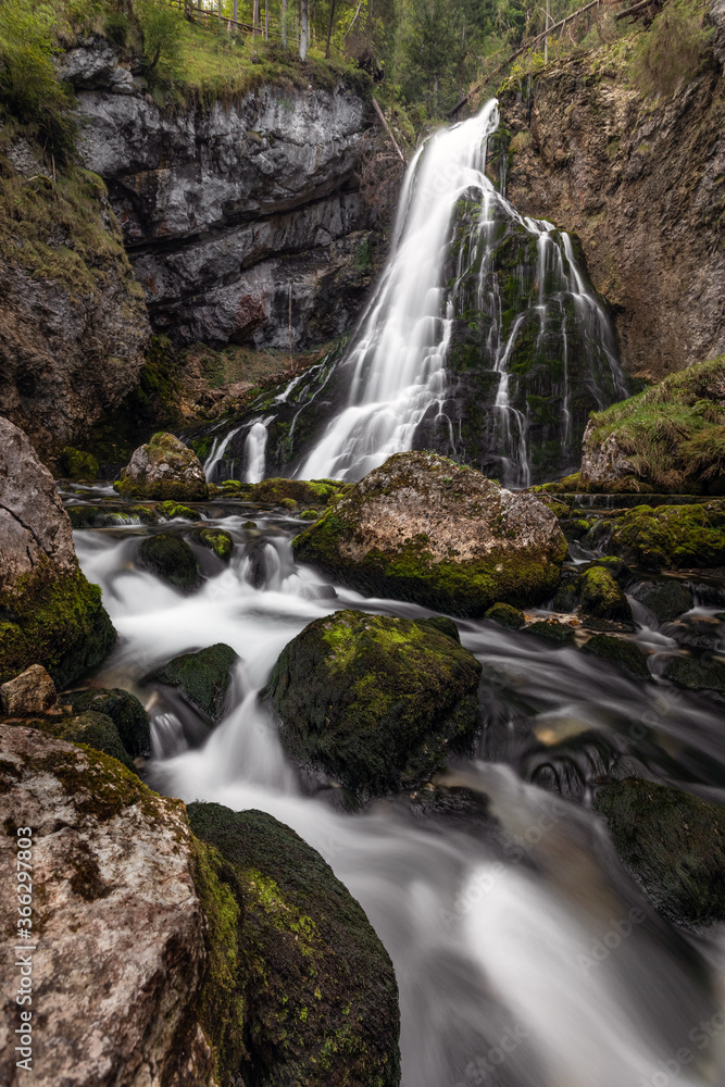 Obraz premium waterfall in the forest