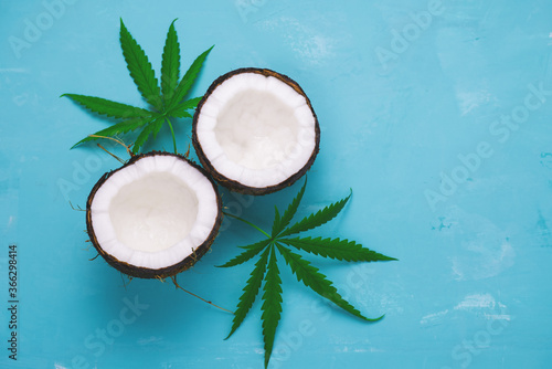 top view flat lay coconut and marijuana leaves on a blue background copy space