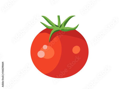 Tomato icon. Tomato  vector design.  Vegetable  icon. 
