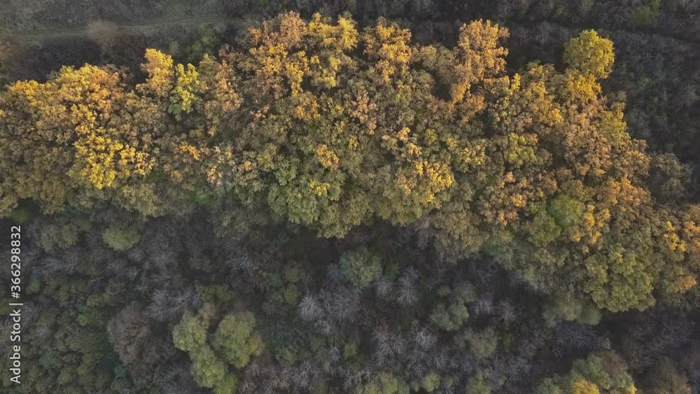 Drone flight over fall forest. Autumn leaves and trees. Orange, Red, Yellow and Green beautiful scene. Drone flight over fall forest. Autumn leaves and trees. Orange, Red, Yellow and Green beautiful scene.