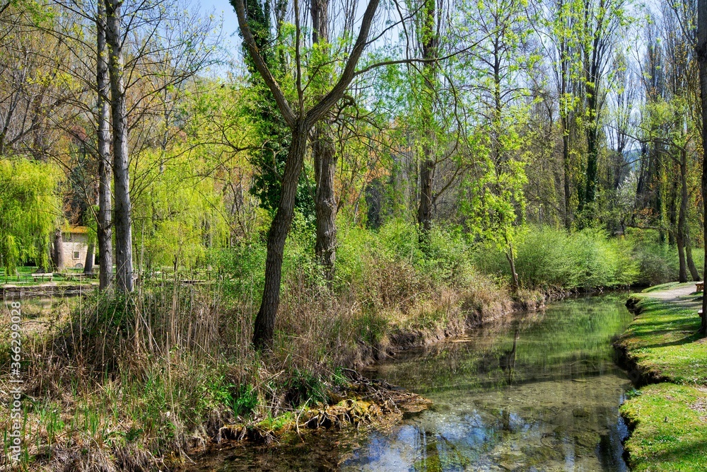 pond in the park in Umbria region, near Spello, Italy pond in the park in Umbria region, near Spello, Italy
