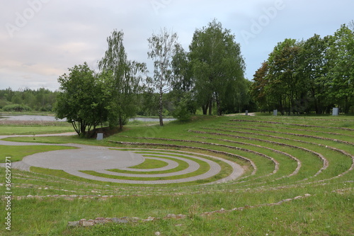 ufo rings traces on green grass