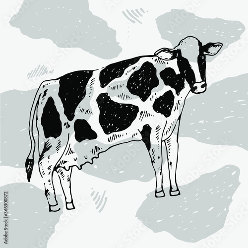 cow on a blue background