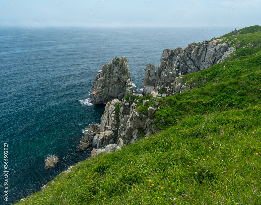Rocks covered with green vegetation near the coastline of the sea