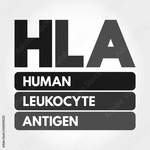 HLA - Human Leukocyte Antigen acronym, medical concept background