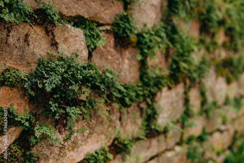 An old medieval stone wall, grass and moss on it. Wallpaper, natural background, copy space, soft focus.