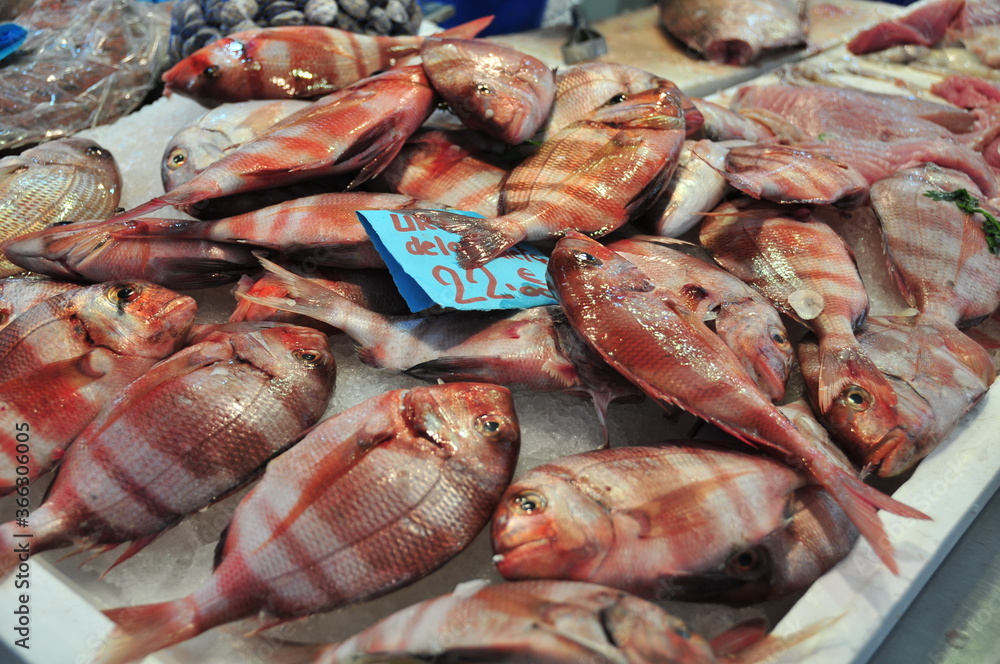 Fresh fish, Sardines and Huevas - fish eggs, at Cádiz Central Market, Andalusia, Spain
