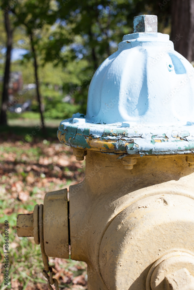 Fototapeta premium Blue and Yellow Fire Hydrant Closeup