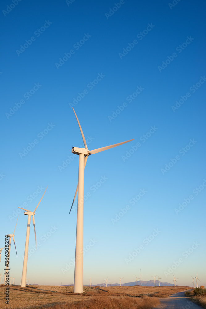 Renewable wind energy