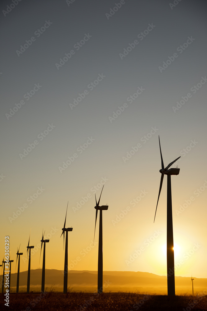 Obraz premium Sustainable wind energy