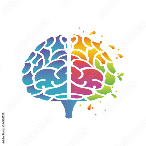 the human brain on white background