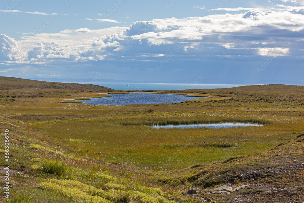 Polar tundra landscape with spectacular view of Barents sea. Short summer in Finnmark, Norway