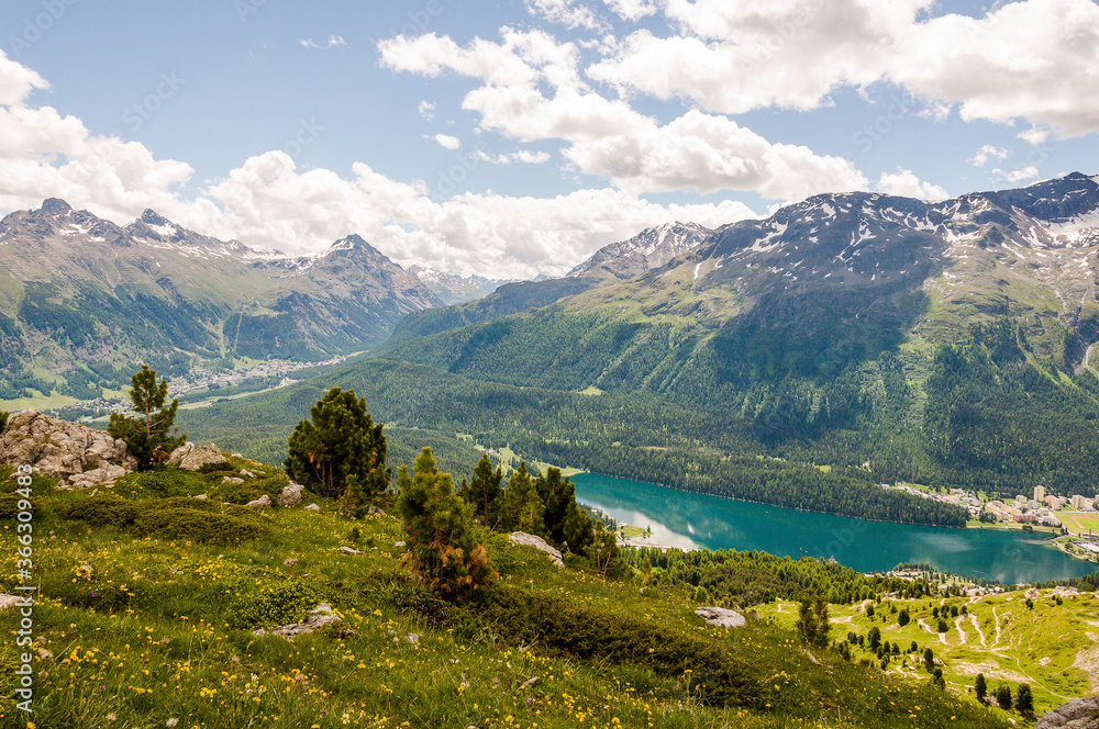 Obraz premium St. Moritz, Corviglia, Oberengadin, Wanderweg, Stazerwald, St. Moritzersee, Pontresina, Schafberg, Alp Languard, Alpen, Piz Rosatsch, Rosatschgruppe, Graubünden, Sommer, Schweiz