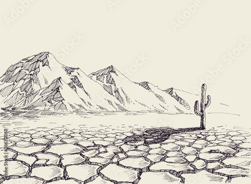 Desert landscape, arid environment and a cactus in the background