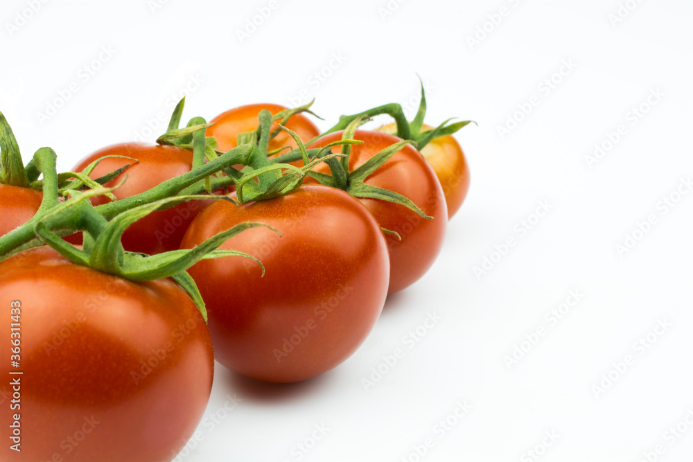 Cherry tomatoes on a branch isolated on a white background. Cherry tomatoes on a branch isolated on a white background.