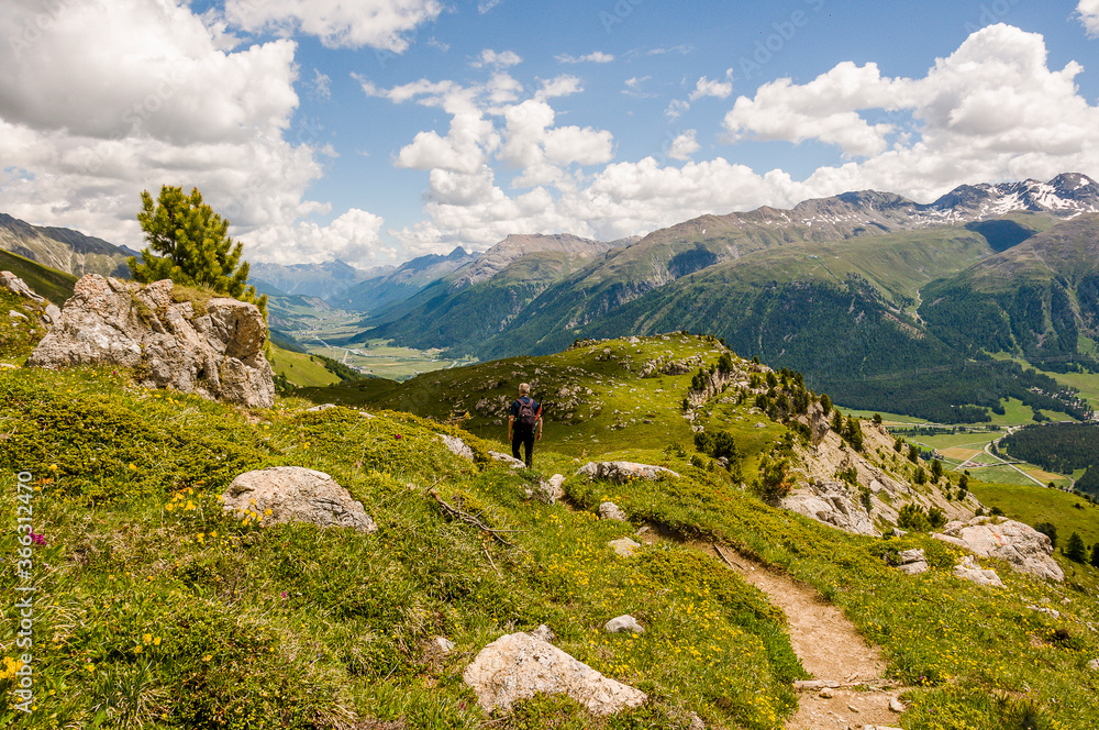Fototapeta premium Corviglia, Oberengadin, Stazerwald, Muottas Muragl, Piz Muragl, Val Muragl, Wanderweg, Wanderer, Pontresina, Alpen, Bernina, Val Bernina, Inn, Inntal, Graubünden, Sommer, Schweiz
