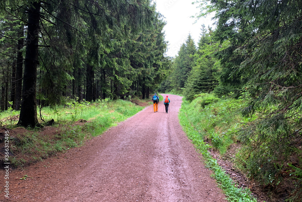 Wanderer im Thüringer Wald