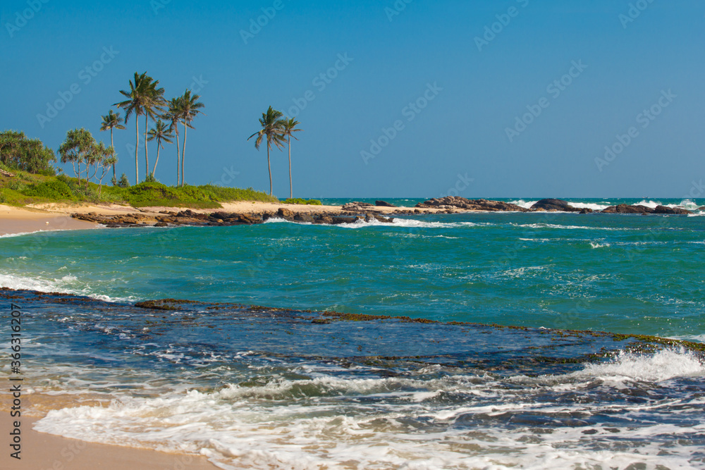 Fototapeta premium tropical beach with palm trees