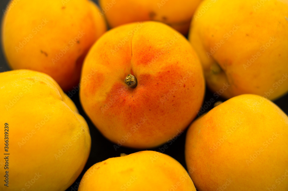 Beautiful orange apricot, Sweet juicy apricot fruit. Beautiful orange apricot, Sweet juicy apricot fruit.