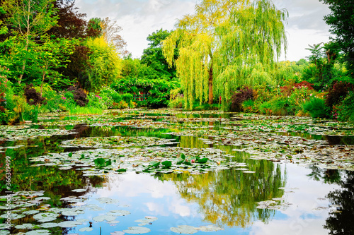 Fototapeta Pond with lilies in Giverny