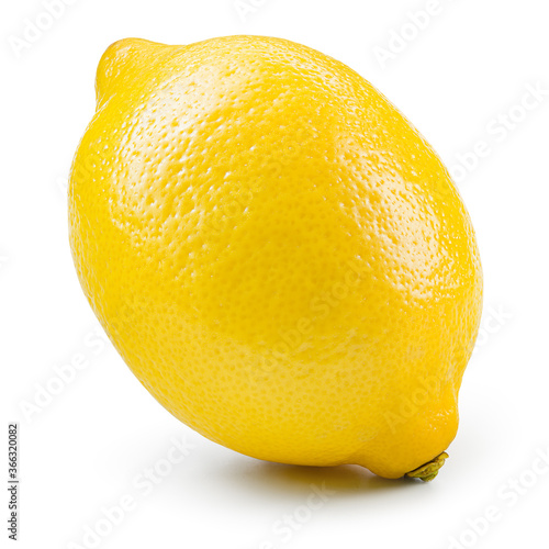 Lemon slice isolate. Lemon round slice. Lemon slice with zest isolated. Cut lemon fruit with clipping path.