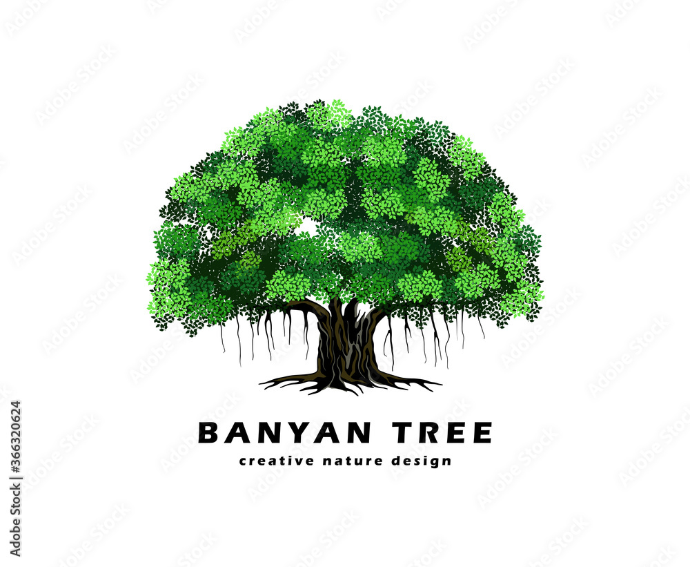 banyan tree logo design, vector illustration Stock Vector | Adobe Stock