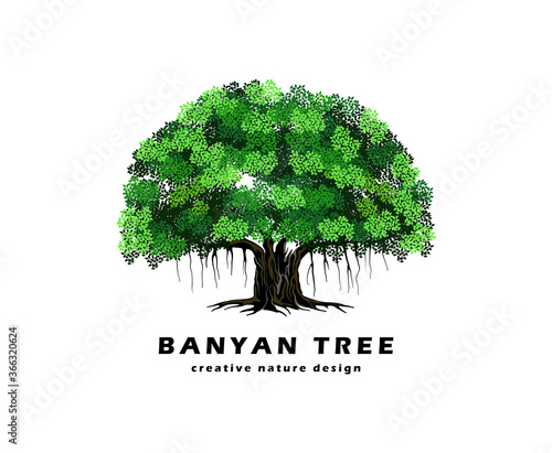 Tableau sur toile banyan tree logo design, vector illustration