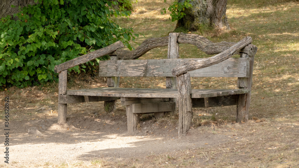 wooden bench in the park