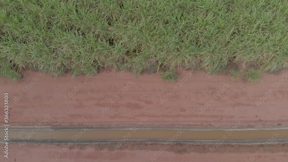 Fertilizer for sugar cane, vinasse through gravity channel in the middle of the plantation. Aerial view Fertilizer for sugar cane, vinasse through gravity channel in the middle of the plantation. Aerial view