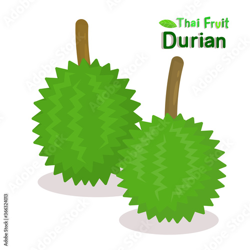 Durian Thai Fruit 