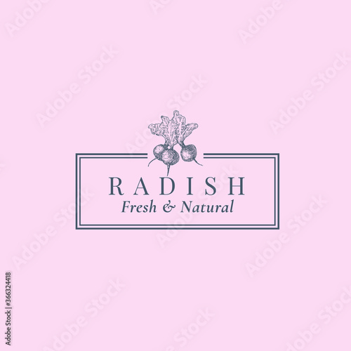 Radish Abstract Vector Sign, Symbol or Logo Template. Hand Drawn Vegetable Plant Sillhouette Sketch with Elegant Retro Typography and Frame. Vintage Luxury Emblem.