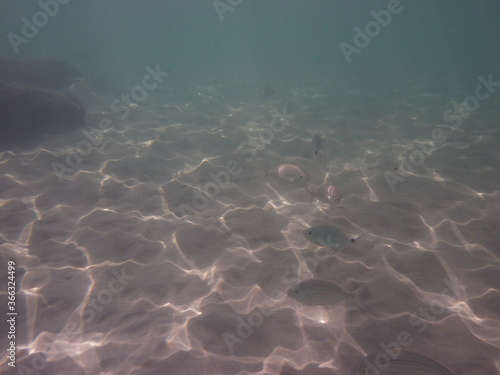 Unter Wasser