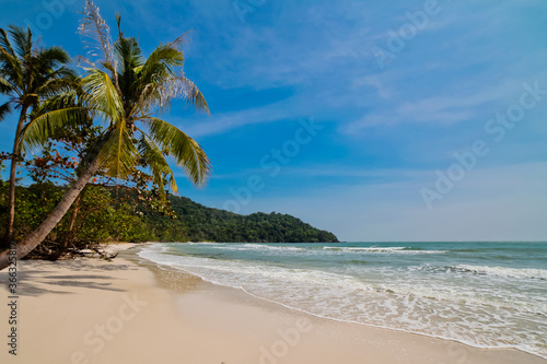 tropical beach with palm trees © digorelik1983