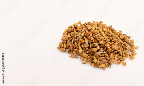 acro view of a pile of dried green anise seeds isolated on white background.