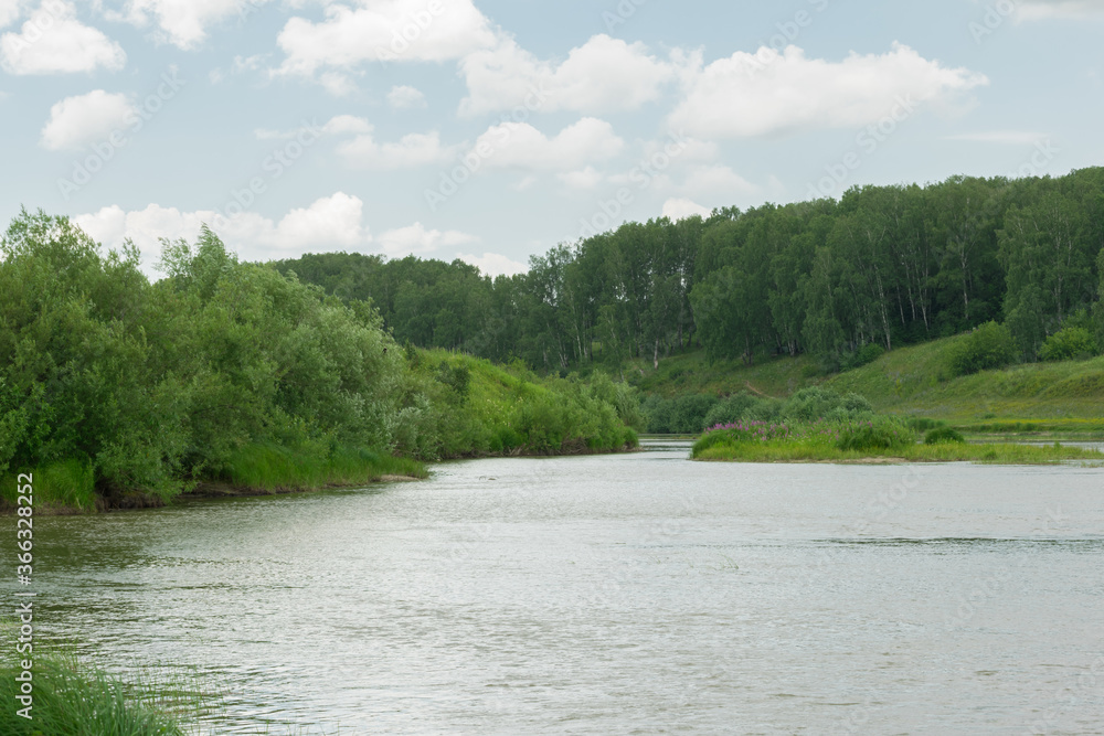 Summer nature river landscape. River grass summer view. Summer green river scene Summer nature river landscape. River grass summer view. Summer green river scene