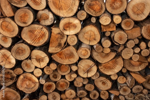 Wood logs texture