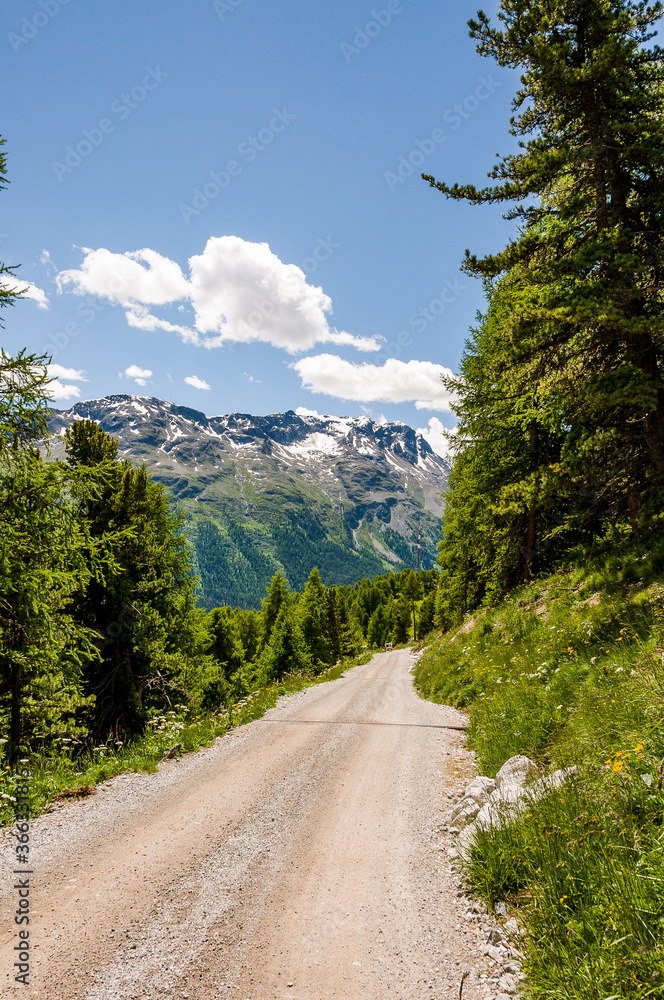 Fototapeta premium St. Moritz, Corviglia, Wanderweg, Aussichtspunkt, Piz da Staz, Piz Rosatsch, Piz Mezdi, Piz Surlej, Corvatsch, Oberengadin, Alpen, Graubünden, Sommer, Schweiz