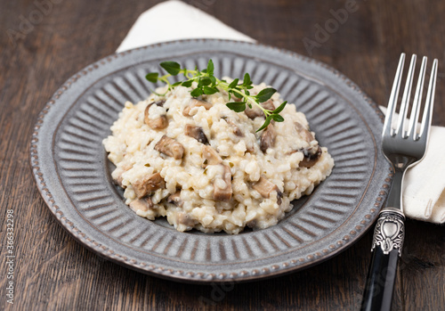 Mushroom risotto on plate, close up view