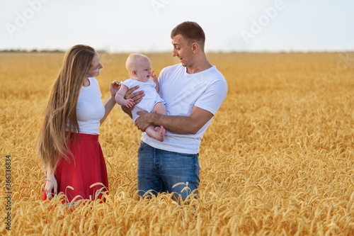 Young family with small child are walking through wheat field. Mom dad and baby outdoor © somemeans