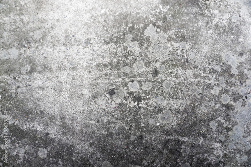 Gray concrete background. Cement textured wall.