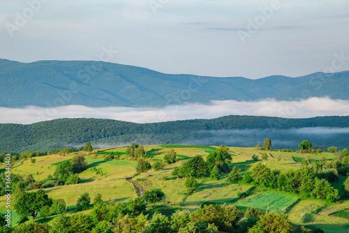 morning in the green mountains in the fog. beautiful landscape. summer in the mountains... © robertuzhbt89