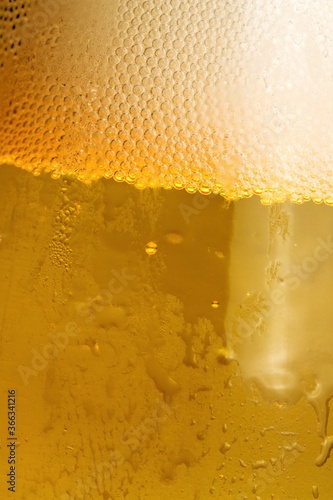 Carbonation and foam in glass of beer
