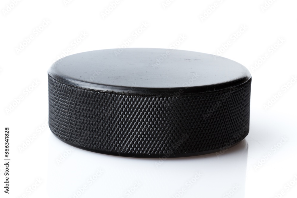 Hockey Puck Hockey Puck