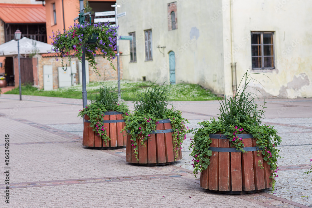 flowerpots on the street in the old town