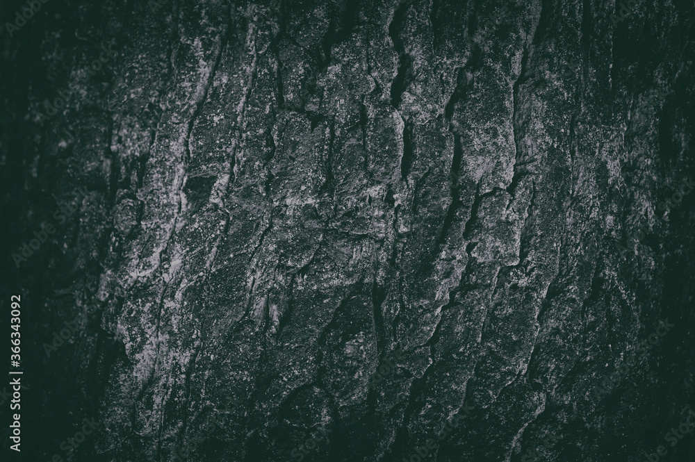 Abstract dark gray background. The texture of the bark of a tree.