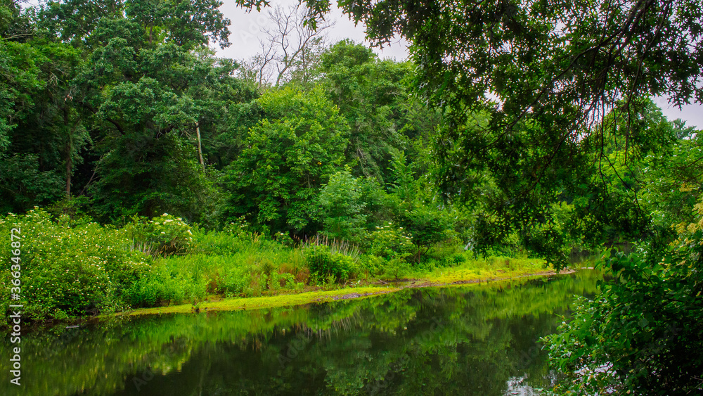 Nature Photos of New England by Constantine